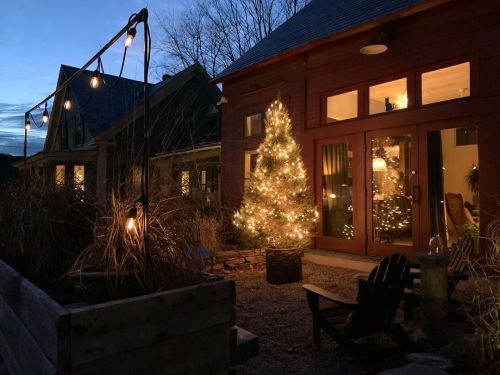 Outside tree for outside Christmas #covidchristmas #stayoutside #barnlife (at Chester, Vermont) http