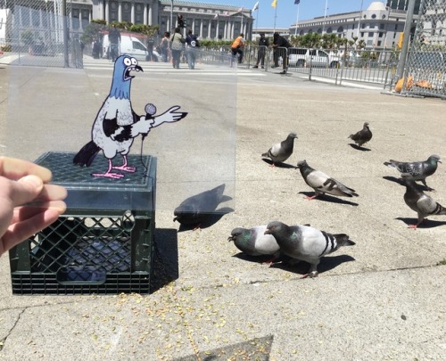 lots of well known comedians will be at @clusterfest in San Francisco this weekend. There will also be some lesser known ones like this hilarious pigeon.