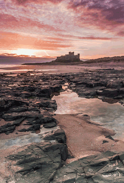 ilikeyouinblue:  Bamburgh Castle - Northumberland,