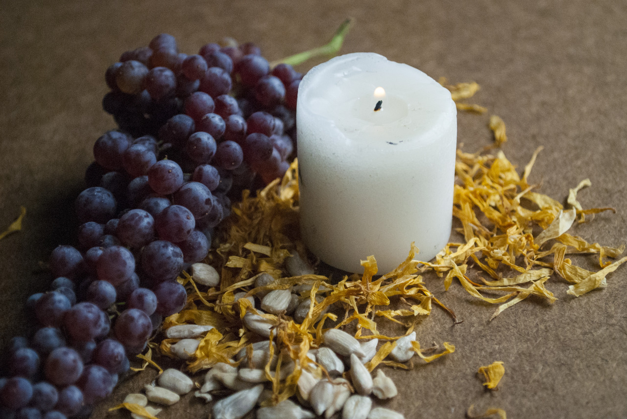 recreationalwitchcraft:  Celebrate LammasOutside:Use this day to harvest vegetables