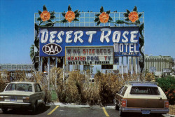 vintagelasvegas: Desert Rose Motel, Las Vegas, May 1979. Demolished in the mid-90s to make way for Monte Carlo Hotel &amp; Casino, Desert Rose had been a family business on the strip going back to the early 50s. The sign is now at the Neon Museum. Photos