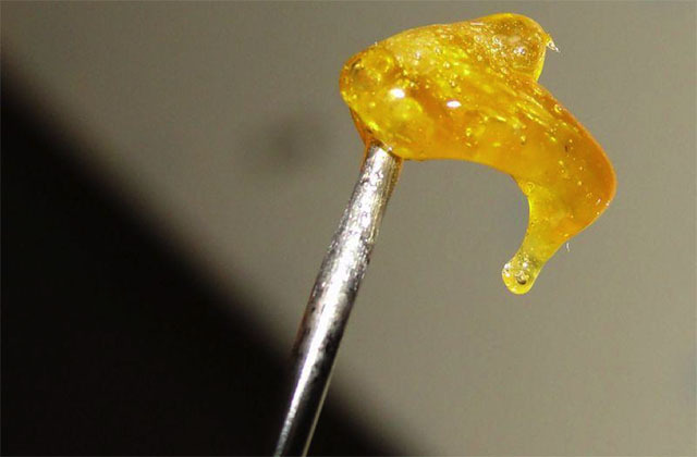 stonerpros:  Looking to start growing? Check out our grow light guide