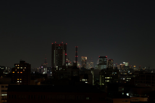 Tokyo Skyline- Tokyo, Japan- March 2016