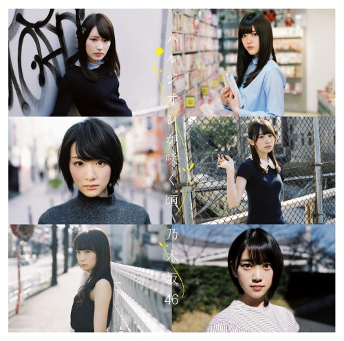 yic17:   Nogizaka46 14th Single “Harujion ga Sakukoro” Covers