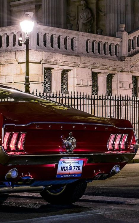 discotracker:  🎙🎛  Whoa hey… tag your porn cmon! 😏 that ass though 😍🤤 … this is my favorite mustang body style by far 