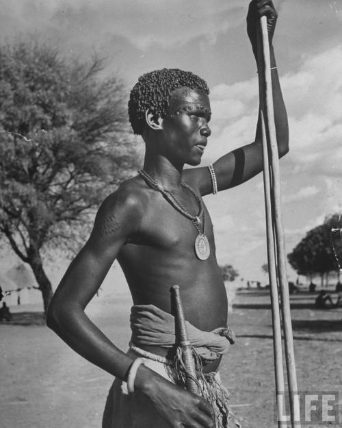 XXX d-ici-et-d-ailleurs:Shilluk, Soudan, 1950 photo