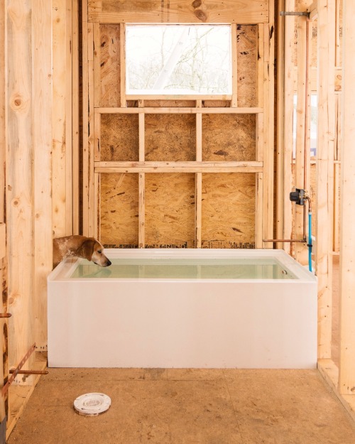 maddieonthings: Bathtub is installed! It was surprisingly difficult to find a tub with a clean flat 