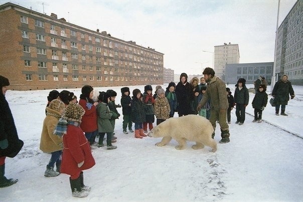 daily-meme:  Elementary school students taking a biology class outside. 