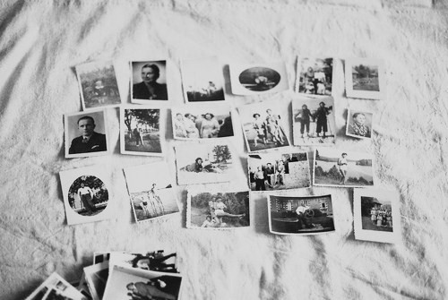 amplectaris:  (by irenkapatrzy) 