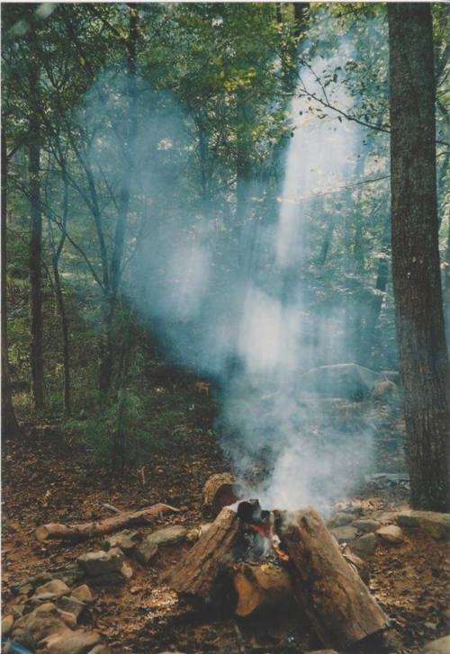 thebotanicalcabin:  Birthday fire. September 2013. 
