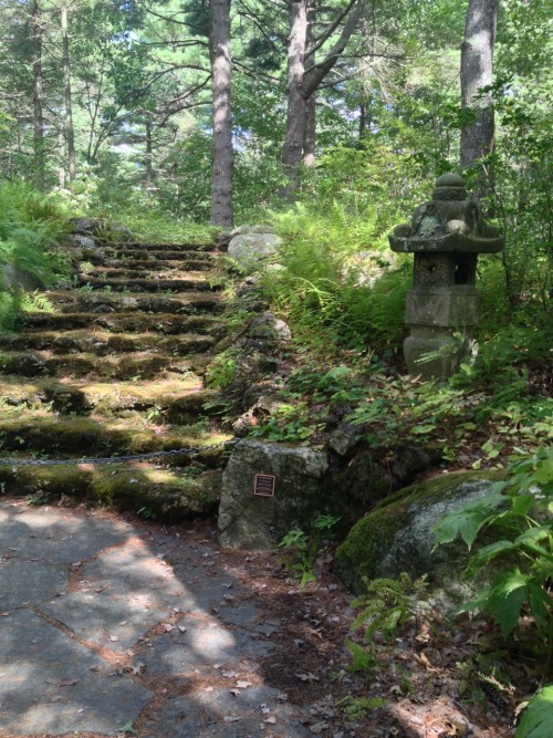 duskenpath:  duskenpath:  What a totally normal non pagan garden we have here  Tower hill gardens, Massachusetts 