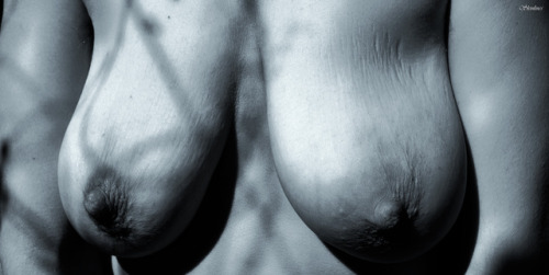 skinlines: © Skinlines 2017
