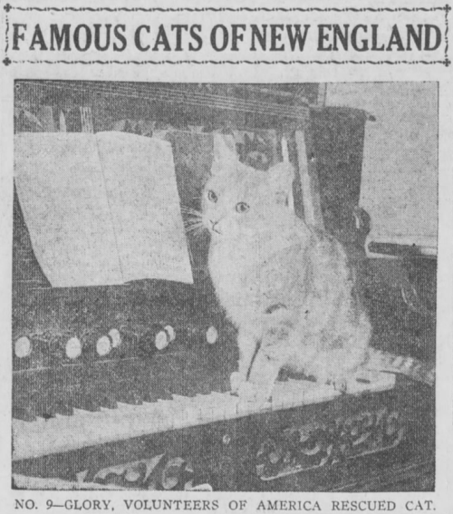 yesterdaysprint:Boston Post, Massachusetts, December 14, 1920