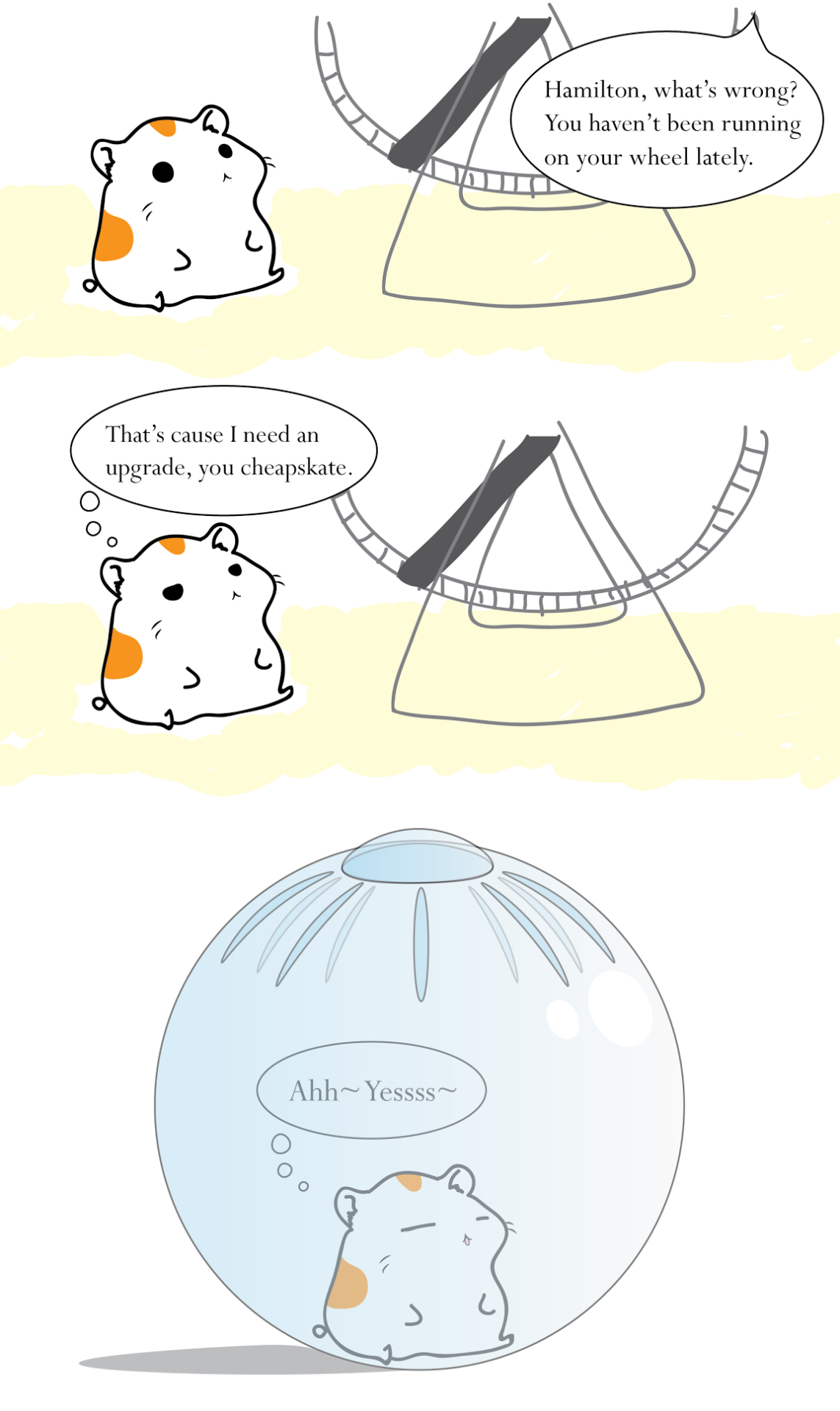 Why toys for pets exist