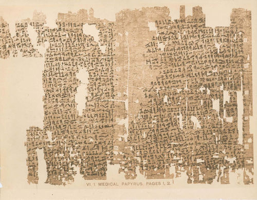 Pages from the Kahun Gynaecological Papyrus, one of the oldest medical texts in the history of the w