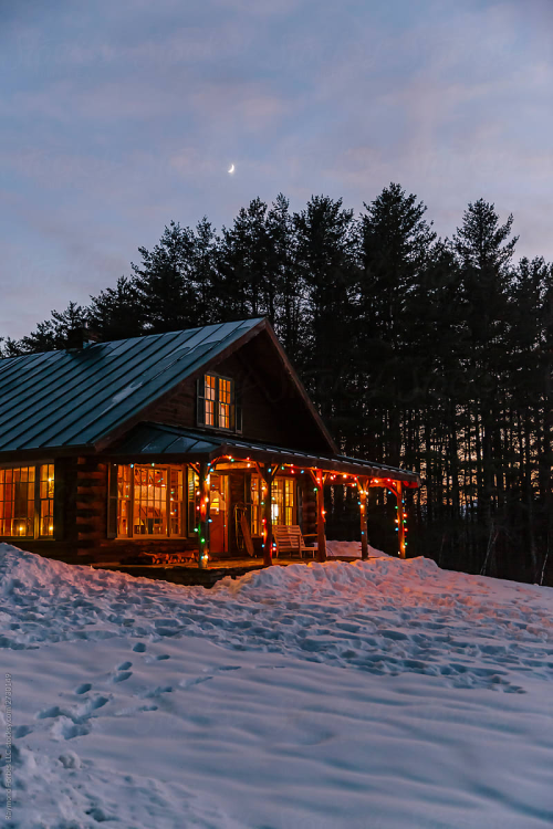 snowy nights & christmas lights