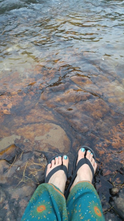 organichaos: We found this on the rocks near the local rapids while taking a nice nature walk ~ “She