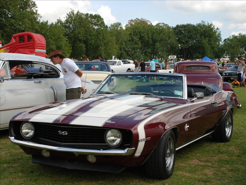 Muscle Cars Fans