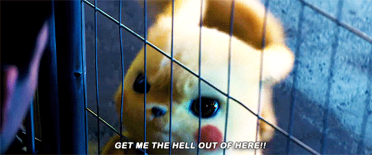 captainpoe:Ryan Reynolds as Detective Pikachu