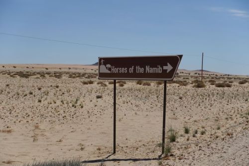Namibia 2023/24 - Tag 12