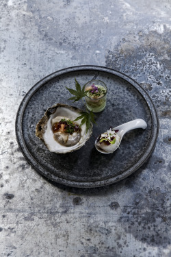 cookitraw:  Ichiro Kubota’s dish from Cook it Raw Copenhagen 2009, Shrimps with Kinome pepper and mousse of fava beans. Limfjord oysters with Japenese citrus dressing. Turbot with five spices and venison sauce with yuzu peppers.  Image from “Cook