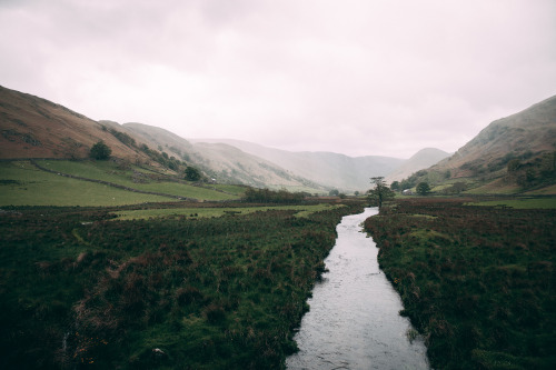 Sheep Farm, CumbriaPhotographed by Freddie Ardley - Instagram @freddieardley