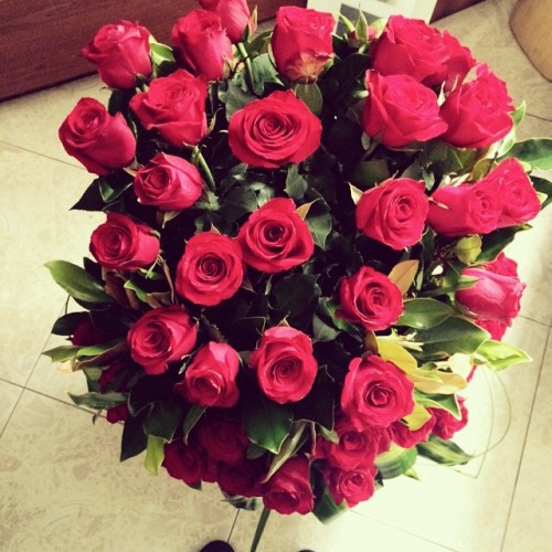 benditlikebecm: Not really big on flowers but yknow, Valentine’s Day is coming up #hinthint #j