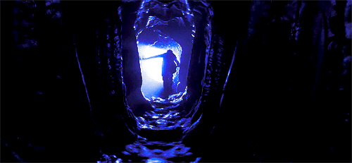 pattyjenkins:   Annihilation (2018) dir. Alex Garland