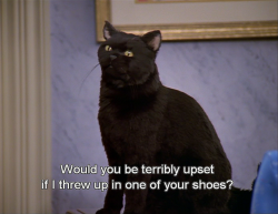 flexibilitas-cerea:  Salem Saberhagen, everyone.