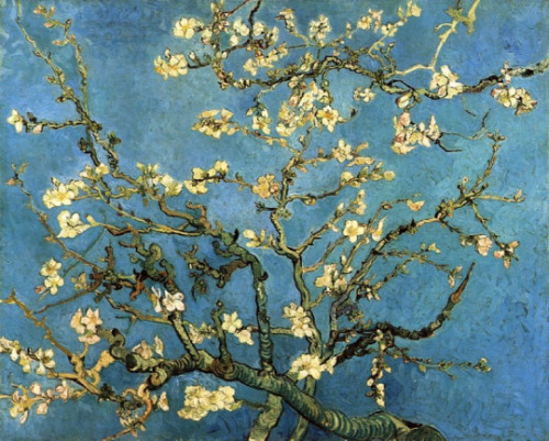 goodreadss:Vincent van Gogh “Branches of an Almond Tree in Blossom”Vincent van Gogh “Almond Branches in Bloom, San Remy”Vincent van Gogh “Almond Blossom”