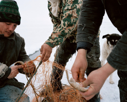 Laurent Weyl / Argos - Kokaral: Life restakes its claim (Kazakhstan)*I know the photo-series is supp