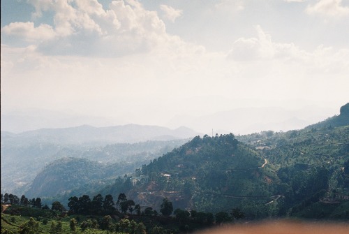 India 2013: A beautiful view in Munnar Ignore my finger, I was holding a graduated ND filter - which