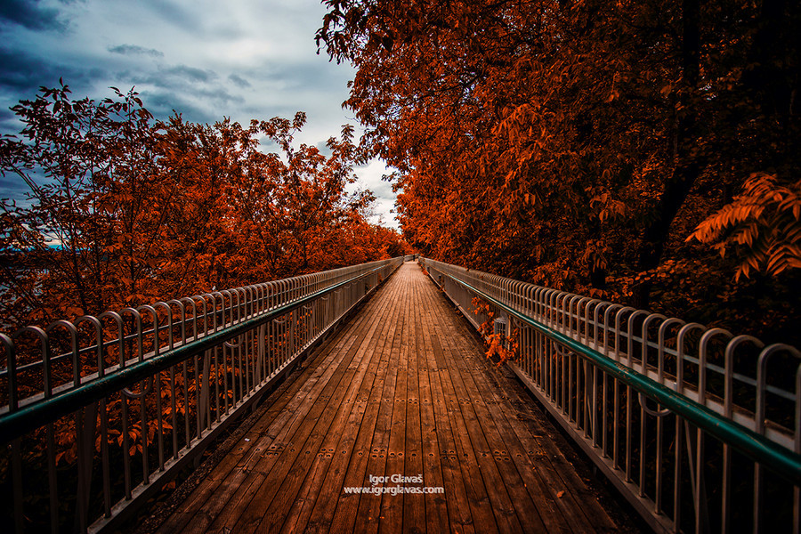 sapphire1707:  Fall… by igorglavas