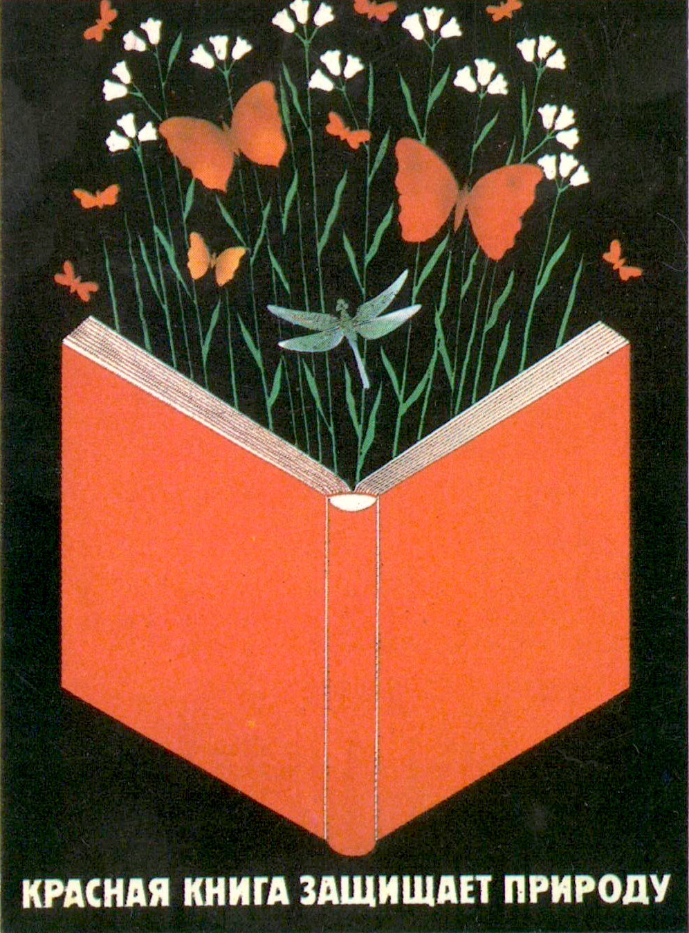 Купить Красная Книга Ссср