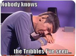 thegingerpowers:Trek Humor 101