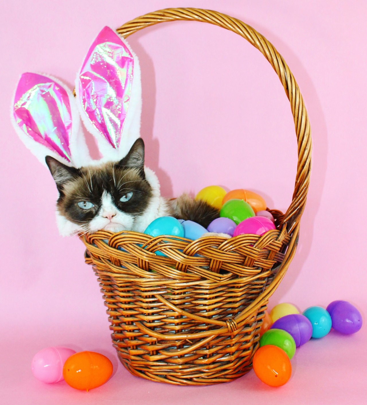 Have an awful Easter. 🐣😾🐇