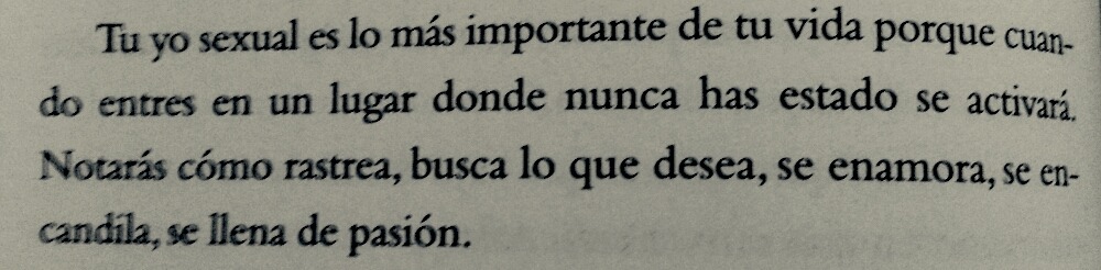 hachedesilencio:  La insoportable levedad del ser - Milan Kundera -