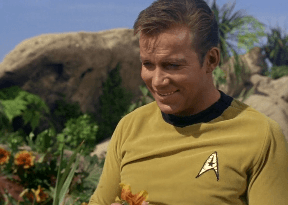 janewayseyebrow:TOS S1E17 “Shore Leave” / VOY S5E4 “In The Flesh”