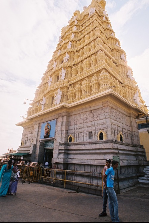 India 2013: Hindu temple near Mysore 20mm, Nikon F4S, Kodak Portra 400.