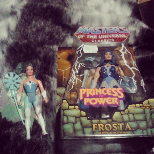 Old vs New (but very limited release) Frosta #shera #princessofpower #80skid