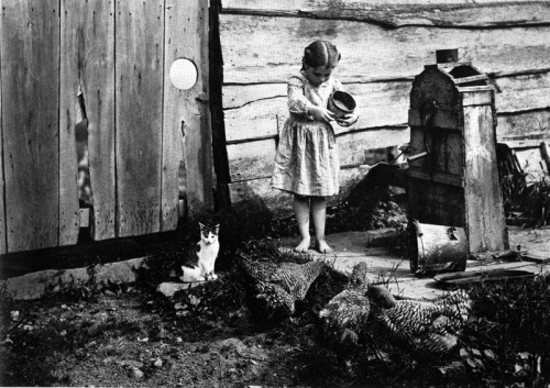 ontheedgeofdarkness:Chansonetta Stanley EmmonsFeeding the Hens, West New Portland, Maine, c. 1900-01