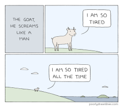 residentialtraparea:  tastefullyoffensive:  by Poorly Drawn Lines  babygoatsandfriends