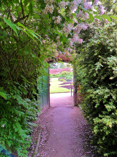 vwcampervan-aldridge:Gateway through Lilac to the walled garden, Calke Abbey, EnglandAll Original Ph