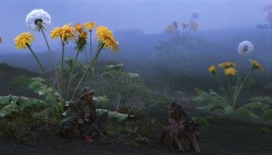 Porn photo weirdlandtv:Akira Kurosawa’s DREAMS (1990).