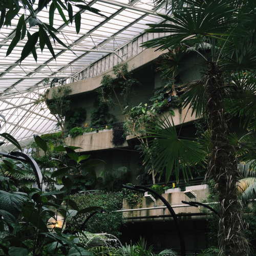 Brutalism Owns But You Know What’s Even Sexier? Brutalism When The Buildings R Just COVERED W Plants