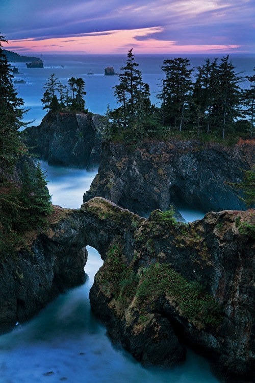 ponderation:  Sound of Thunder by oilfighter 