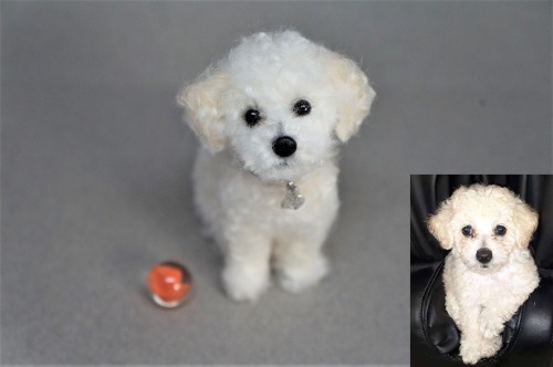 A needle felted puppy based on the inset image. Have a great weekend! 