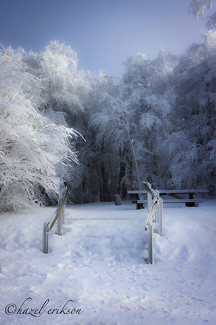 4_MG_3175-Edit by Buffalo Ridge Shutterbug on Flickr.Winter in Nantahala National Forest