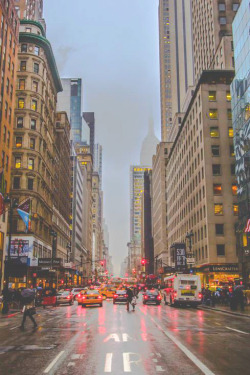 infamousgod:   Fifth Avenue by Xinnan Ye      