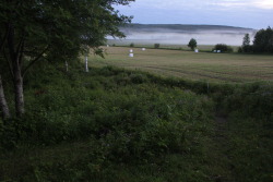 plantcosmos:  fog rises from every single ditch and puddle in the valley at night 